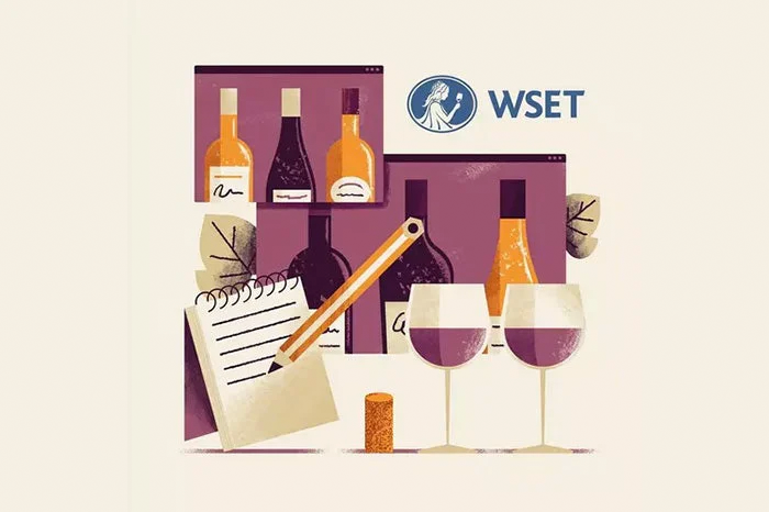 3 Reasons Why You Should Get WSET-Certified Through Wine Enthusiast Academy