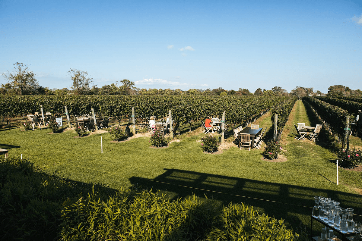 The Best Long Island Wineries to Visit Right Now