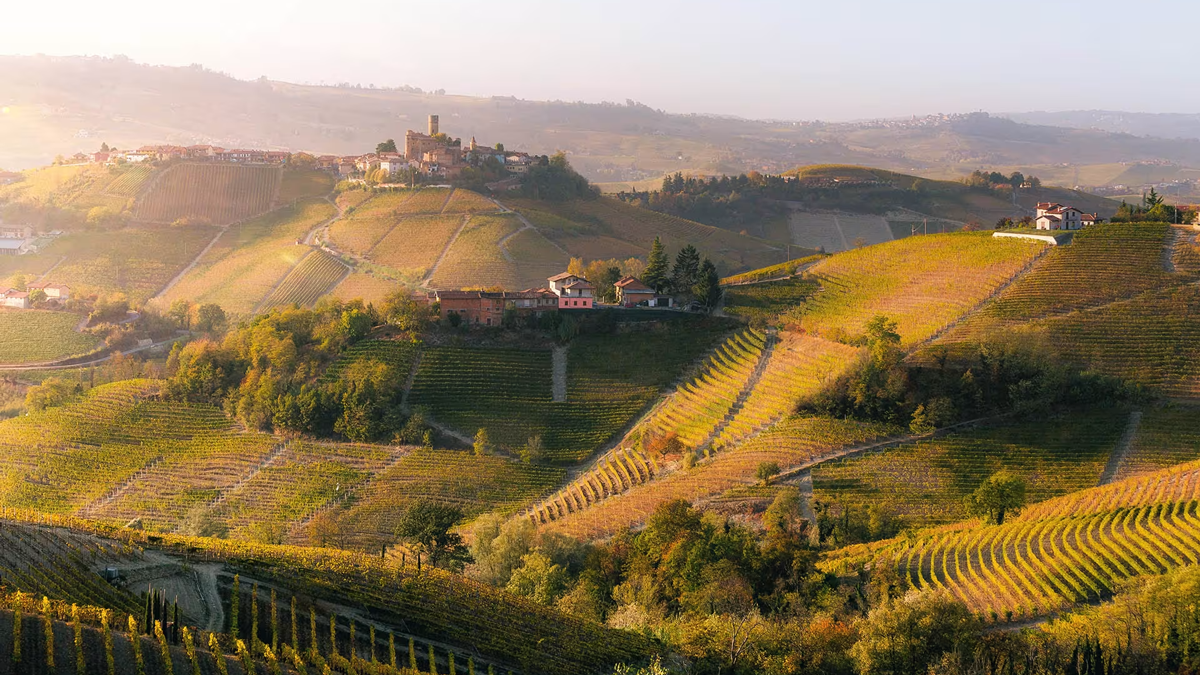 Inside Piedmont: A Wine & Food Lovers Exploration Inside Piedmont: A Wine & Food Lovers Exploration