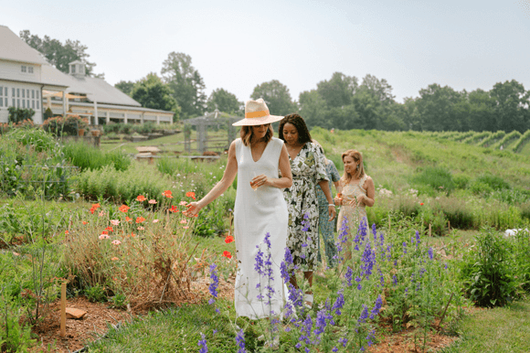 Pippin Hill Farm & Vineyards