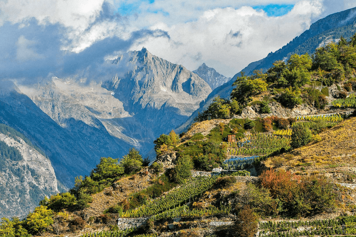 In the Clouds of Switzerland, Winemakers Call Upon the Heavens for Help