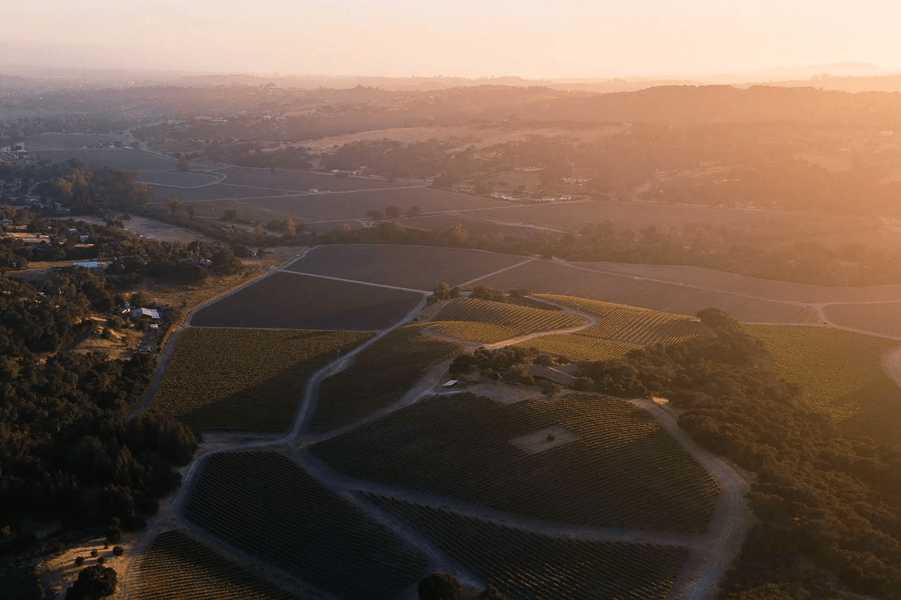 The Best Wineries (And More) to Visit in Santa Barbara