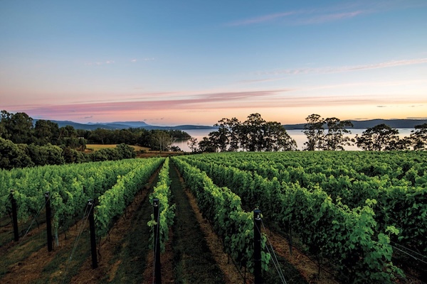 Redefining Tasmania with Cool-Climate Sparklers, Riesling and More