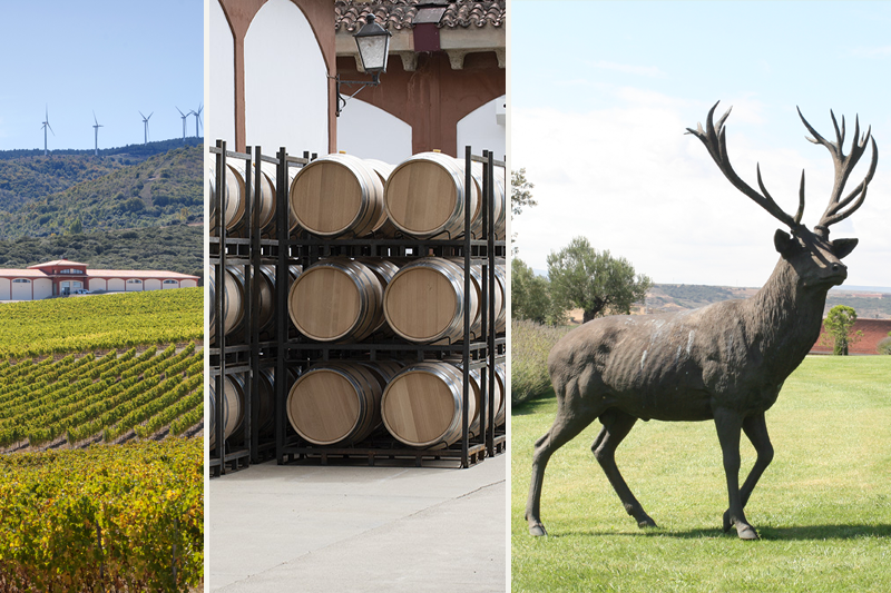El Coto de Rioja El Coto de Rioja