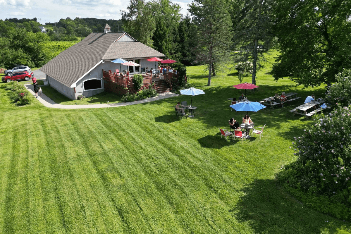 Whitecliff Vineyard & Winery