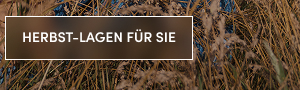Zum Shoppen Bild anklicken